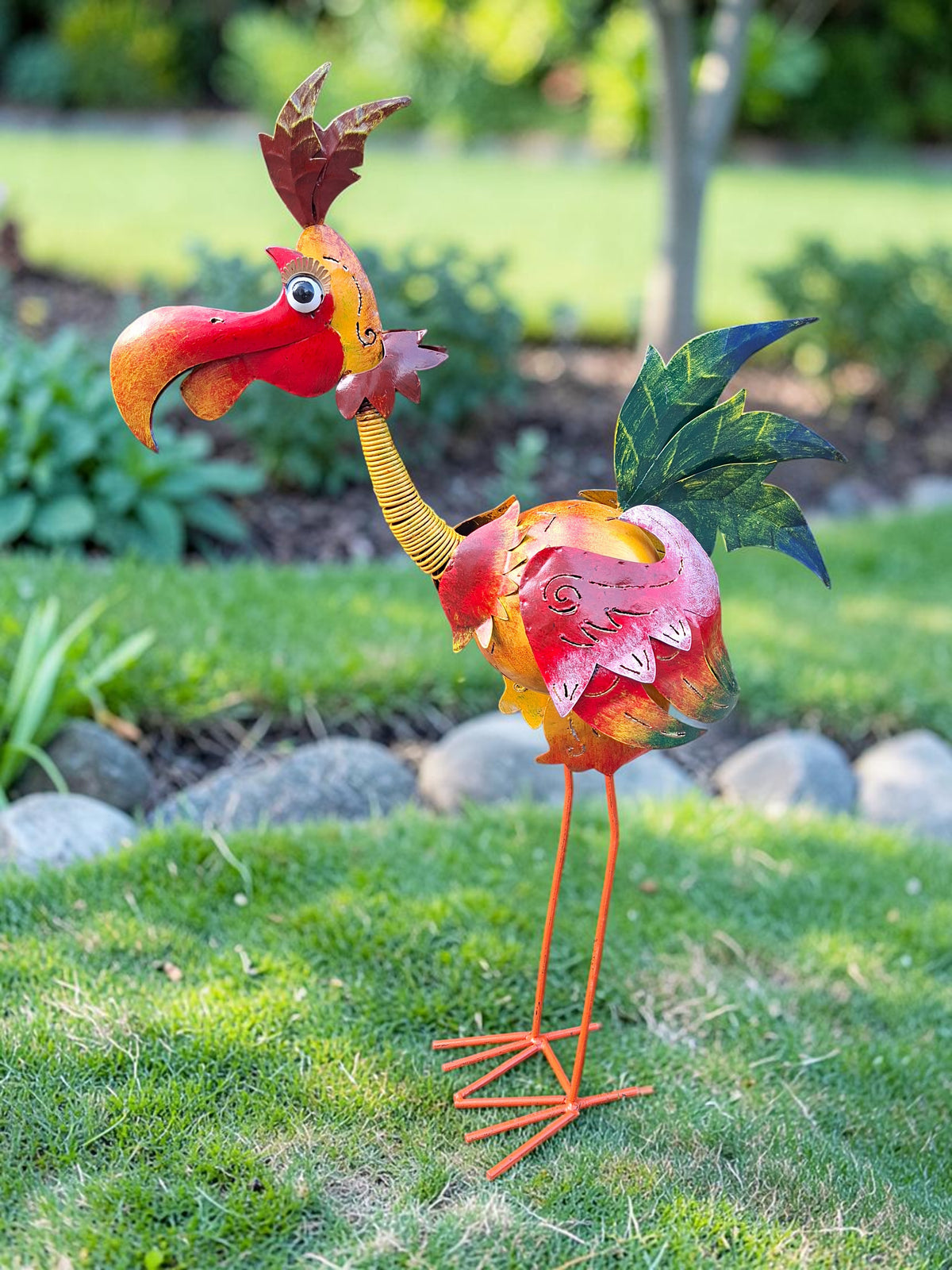 DoDo