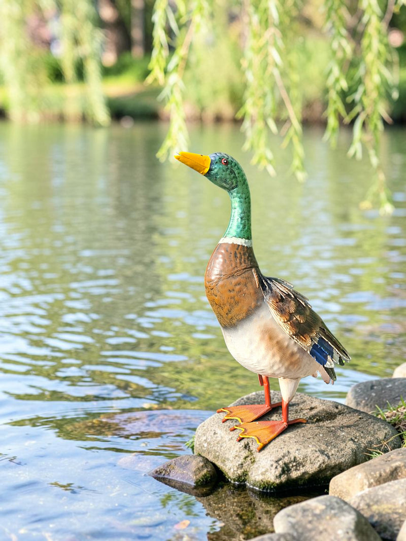Eend tuindecoratie – sfeerbeeld