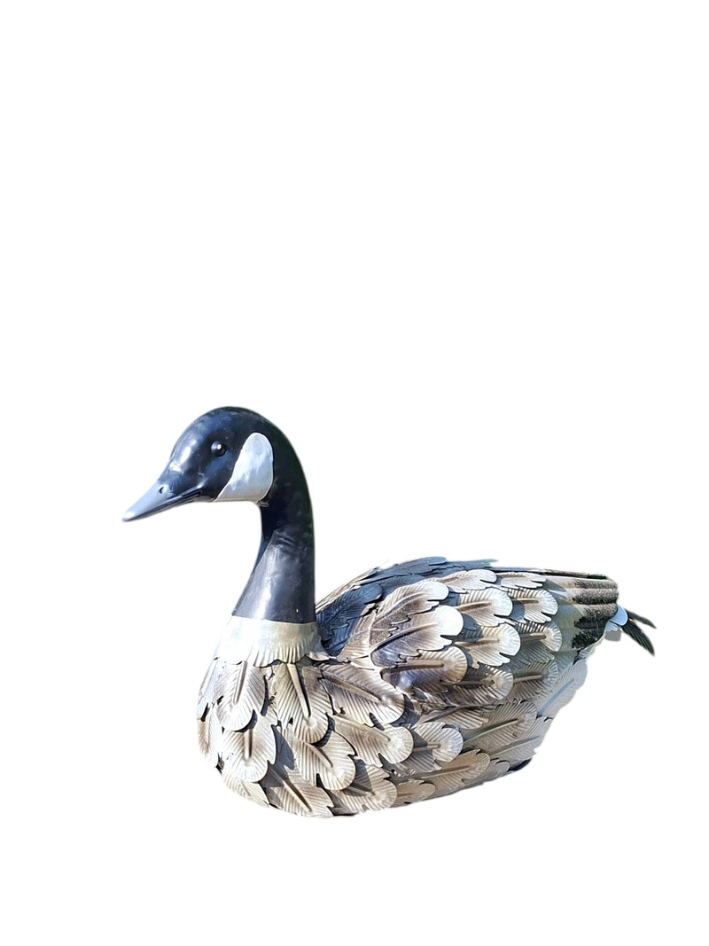 Goose Lying Down