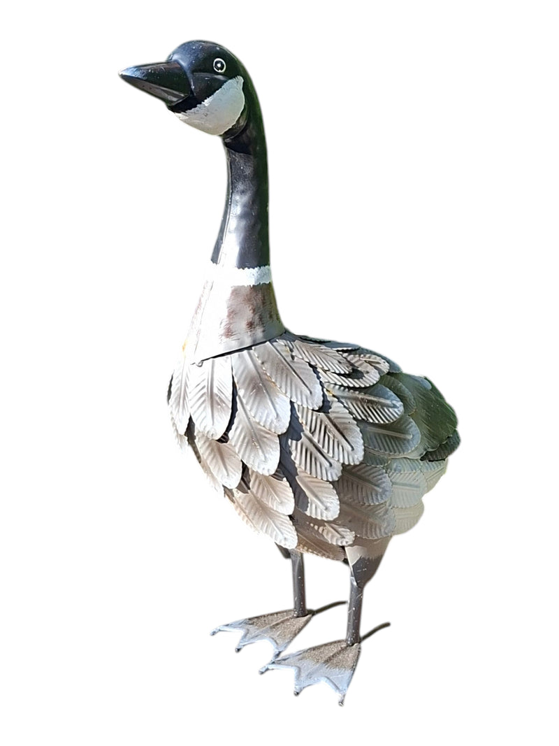Goose Standing