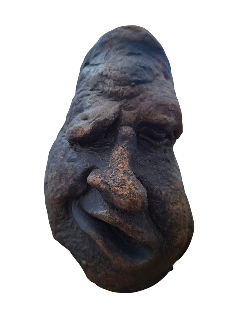 Gek Hoofd D12