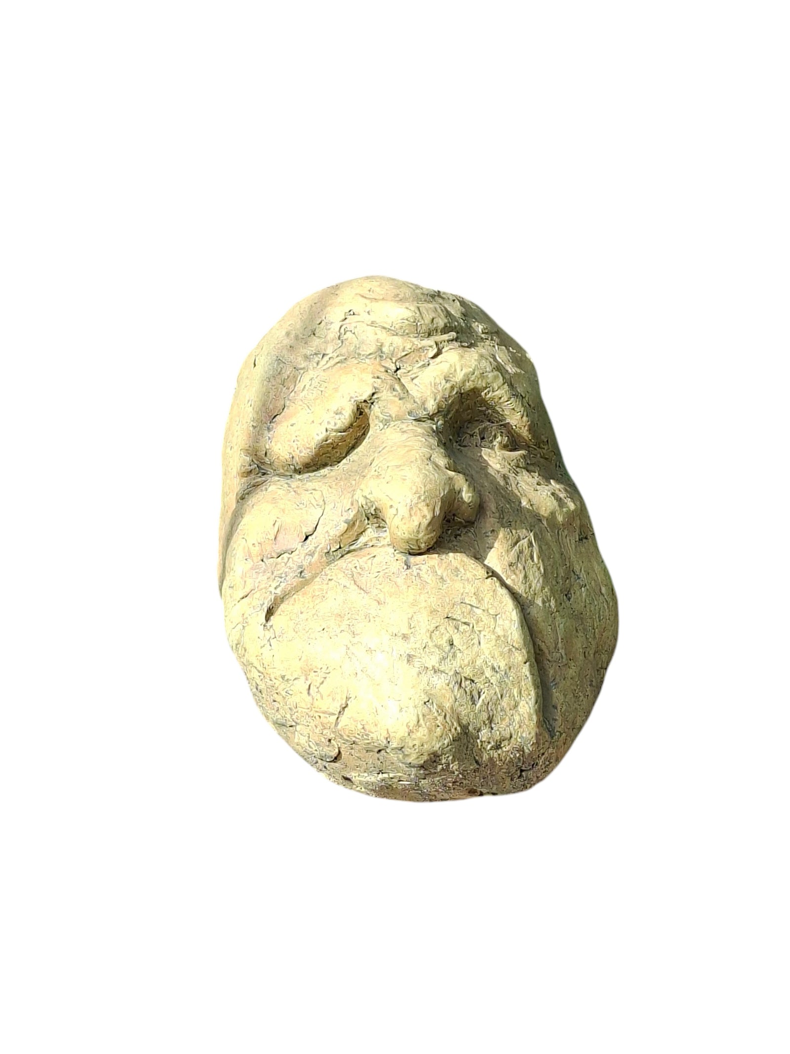 Gek Hoofd L07 tuindecoratie – detailfoto
