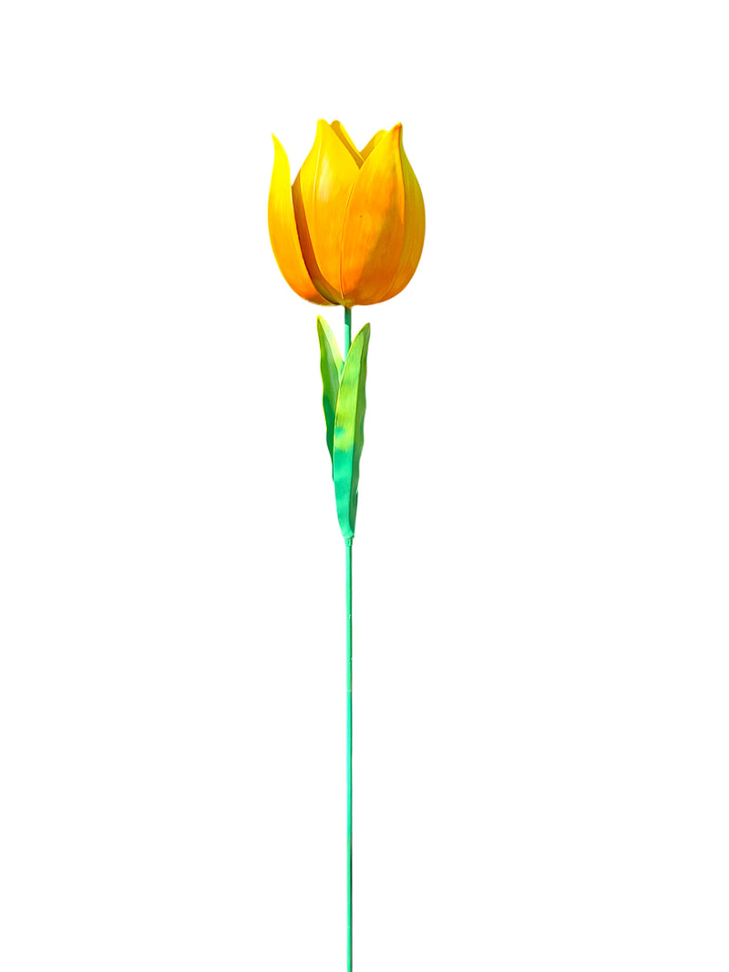 Gele Tulp