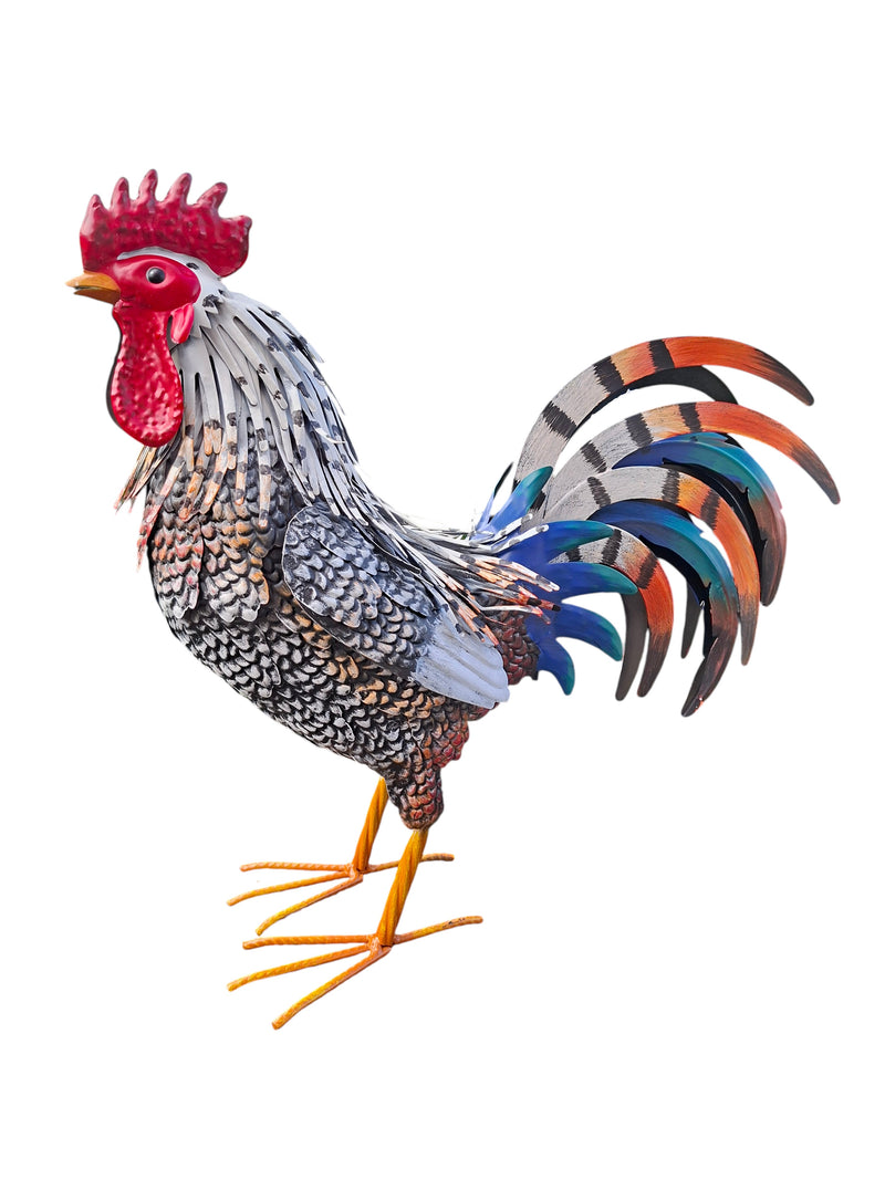Grey Rooster