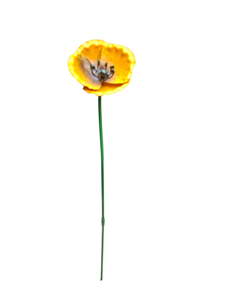 Klaproos klein Geel