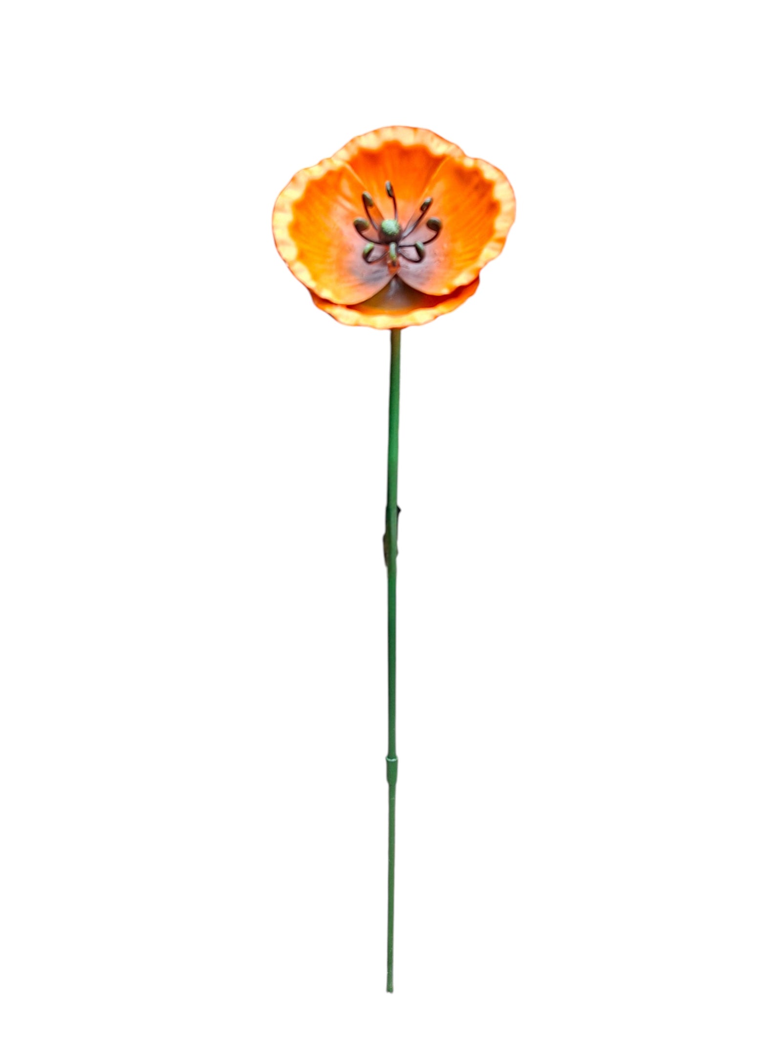 Klaproos klein Oranje tuindecoratie – detailfoto