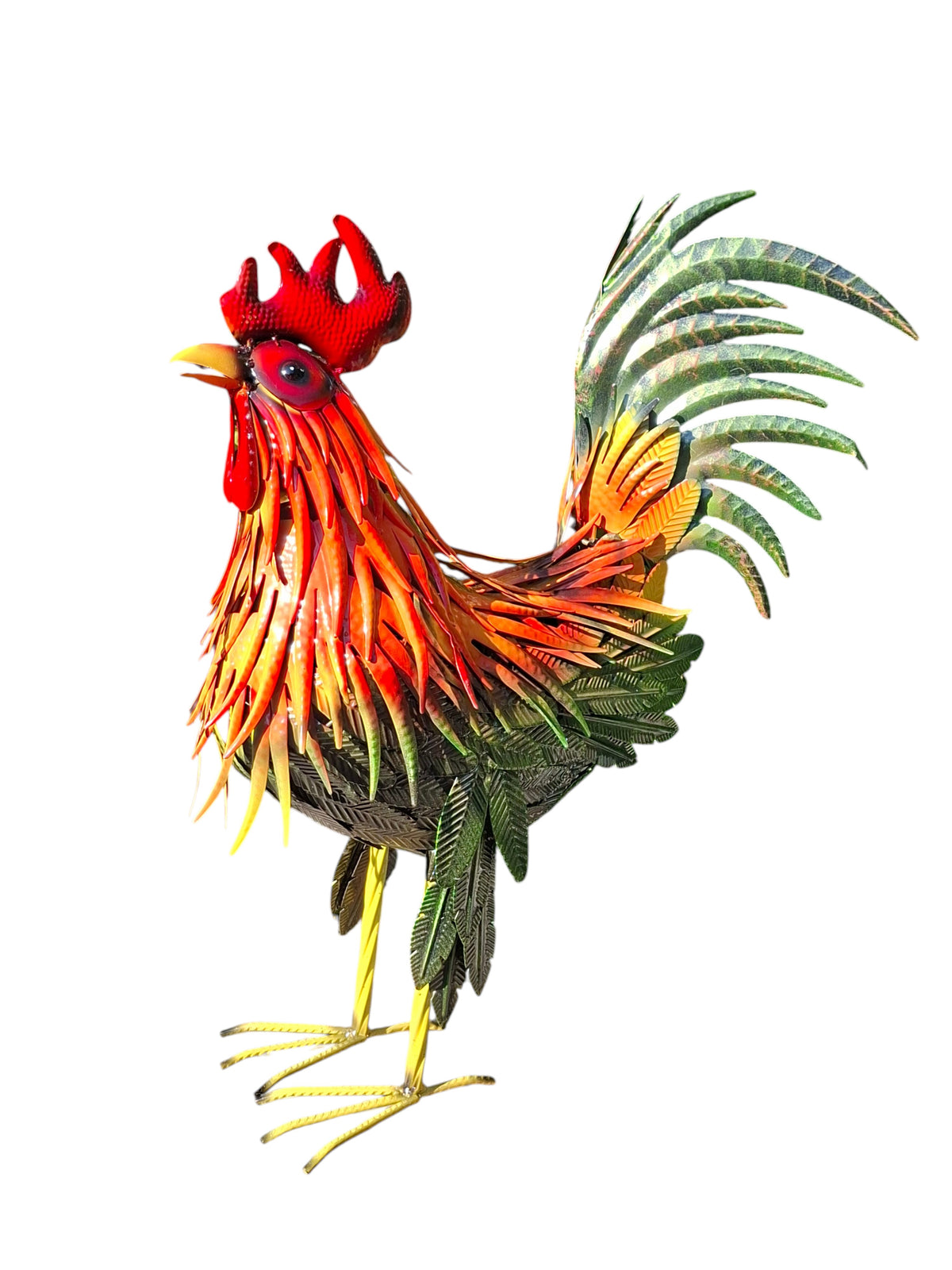 Kleurrijke Haan