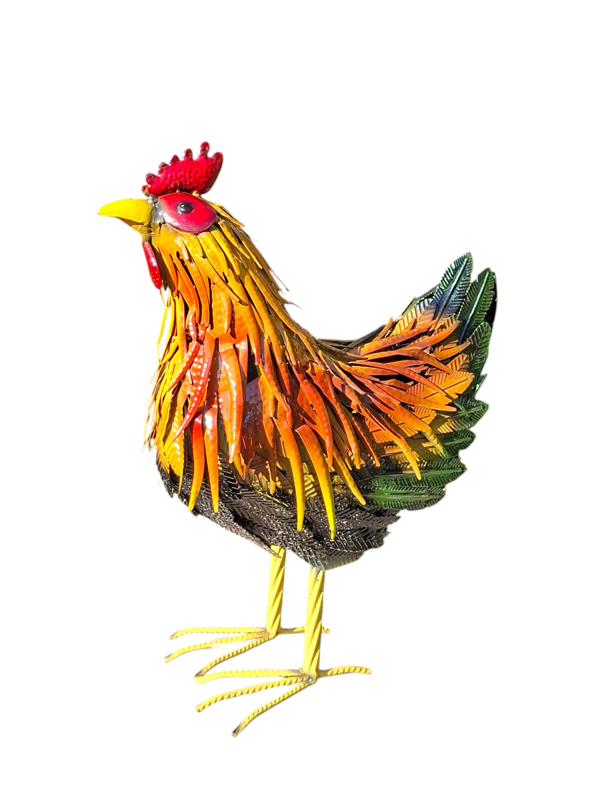 Kleurrijke Kip