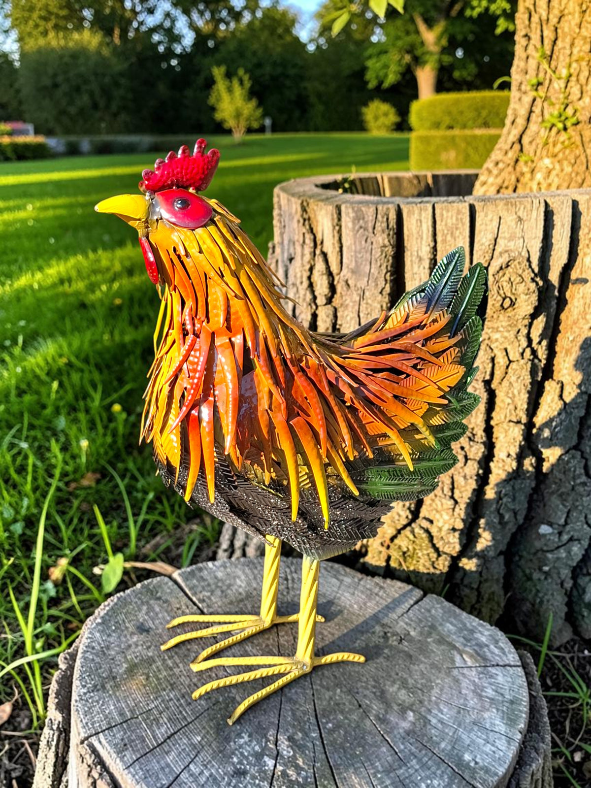 Kleurrijke Kip