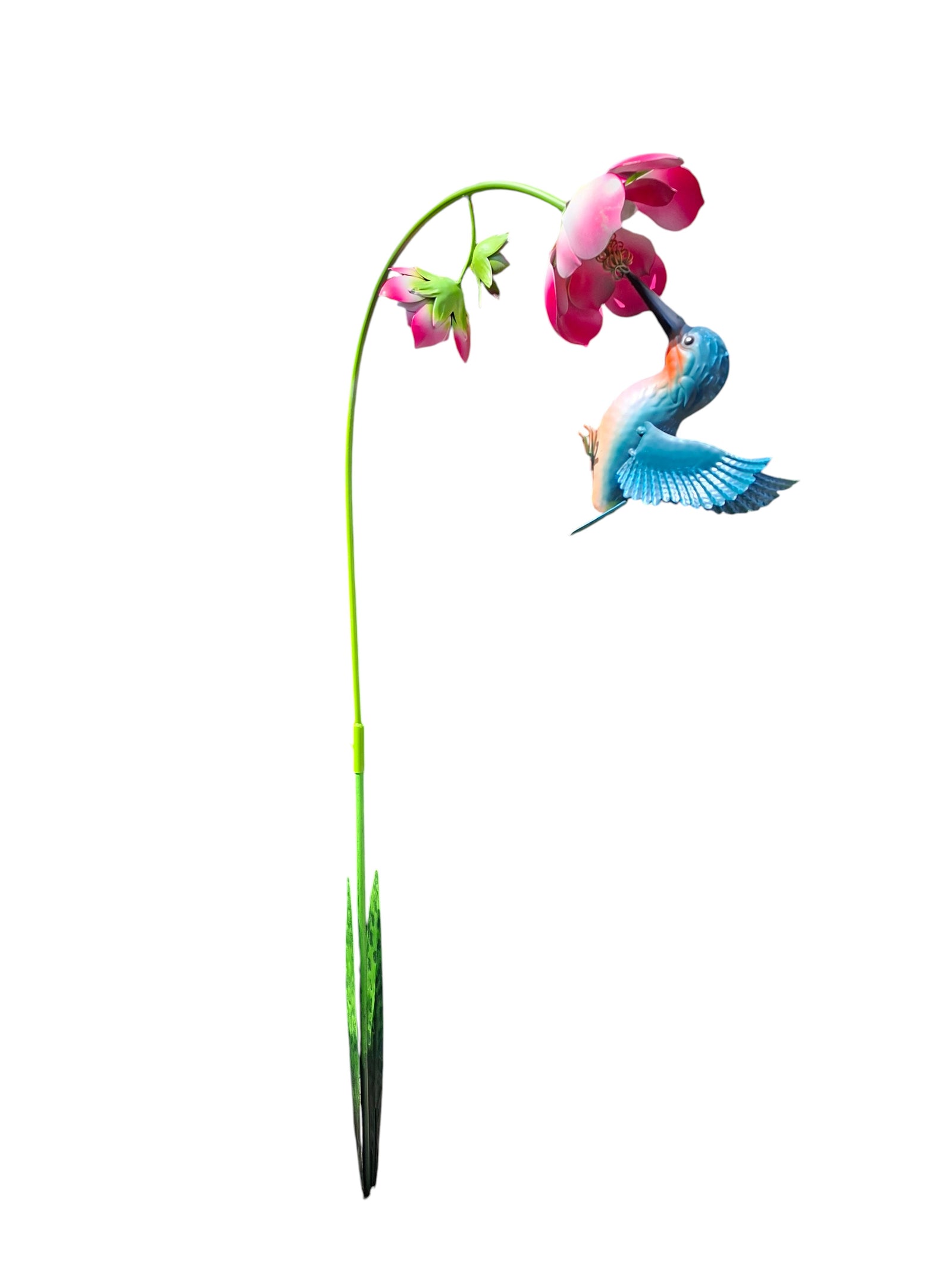 Kolibri met Roze bloem