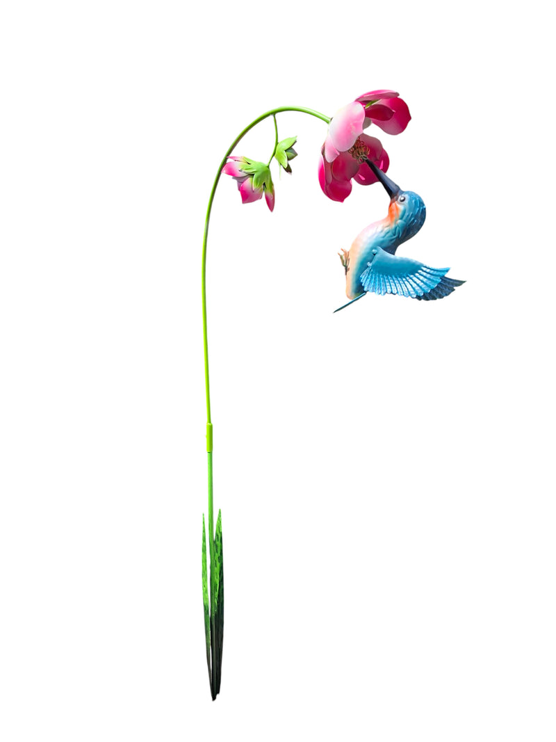Kolibri met Roze bloem
