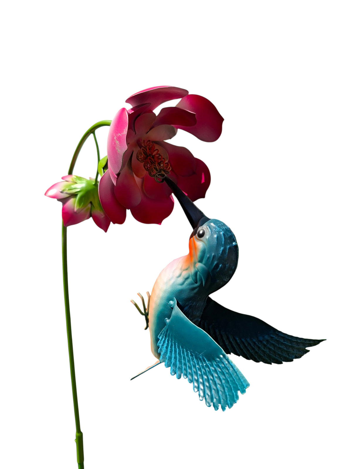 Kolibri met Roze bloem