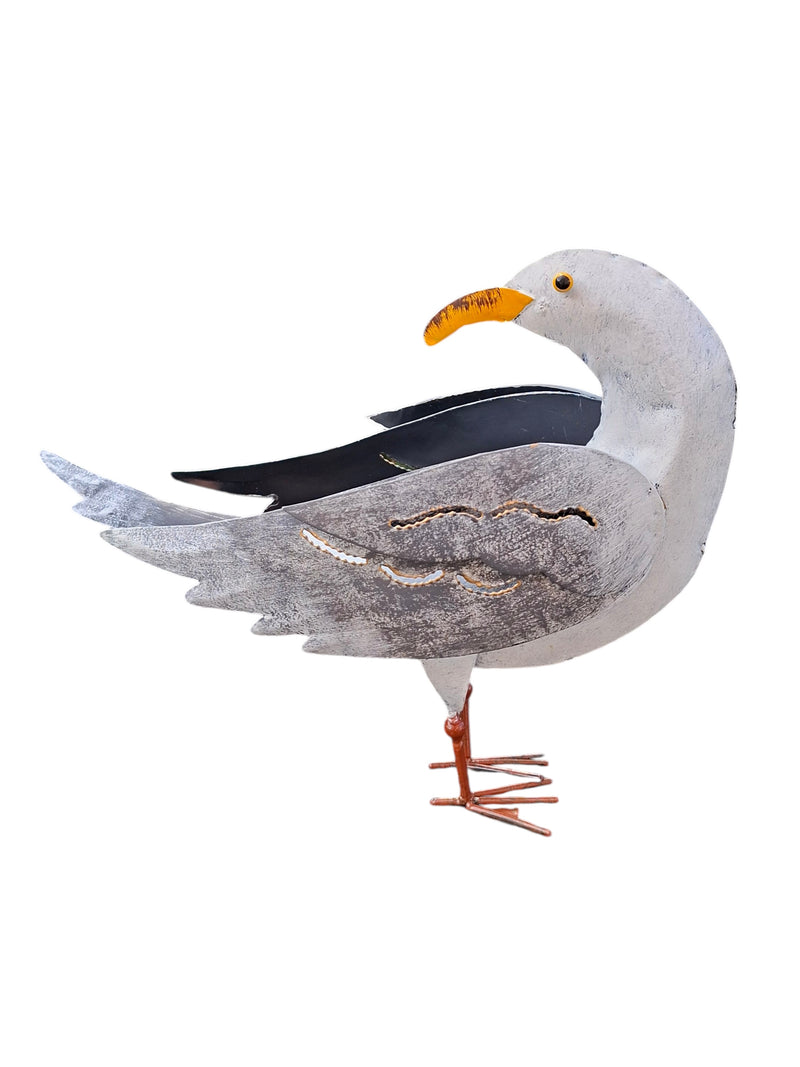 Möwe, sich umblickend