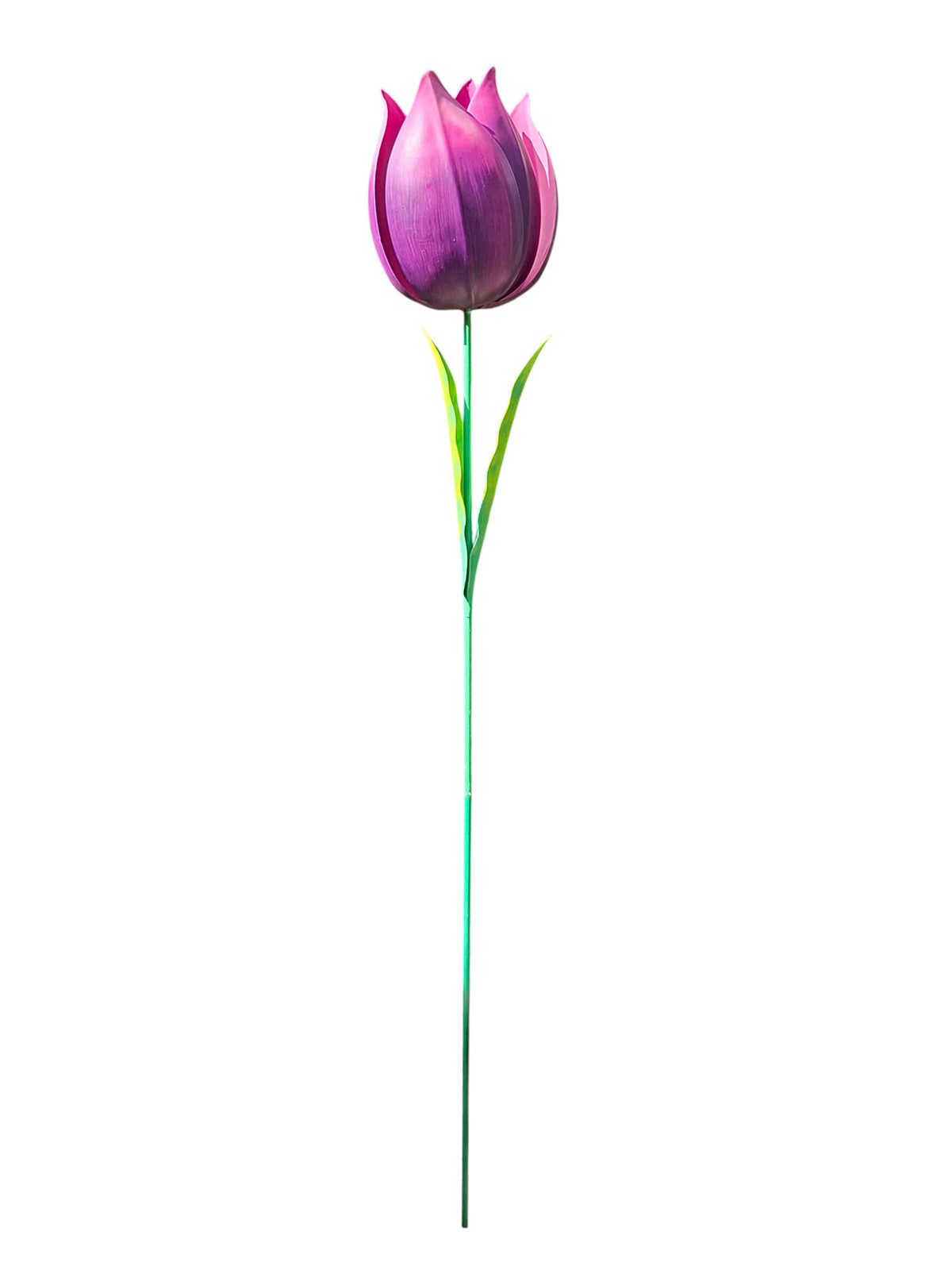 Paarse Tulp tuindecoratie – detailfoto