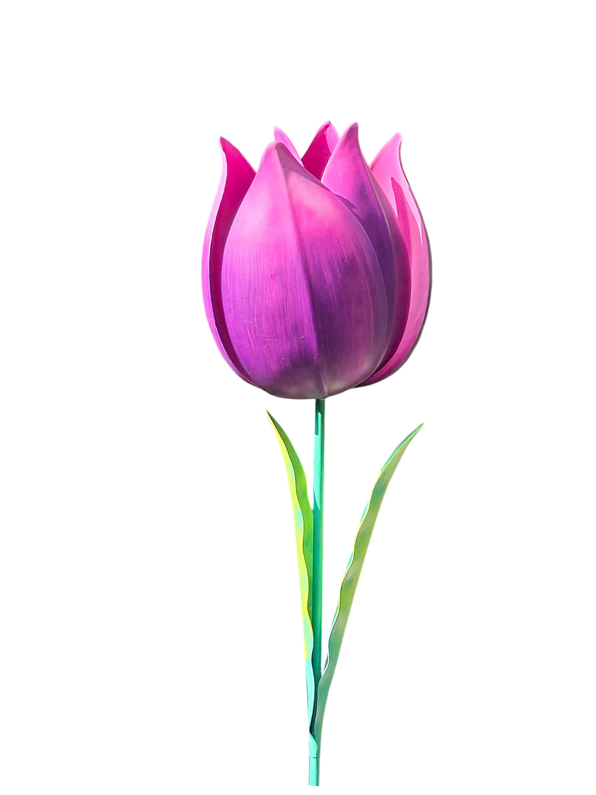 Paarse Tulp tuindecoratie – close-up