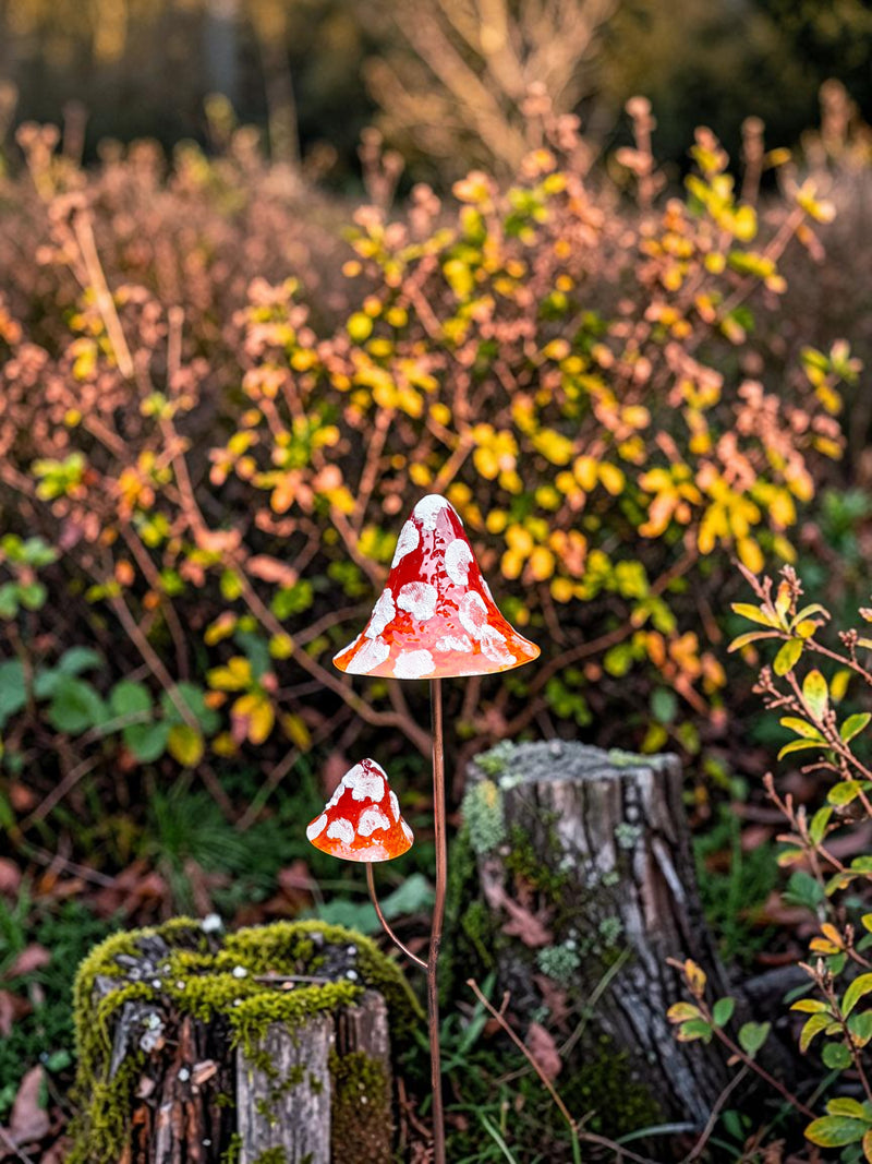 Paddestoel Rood met witte Stippen