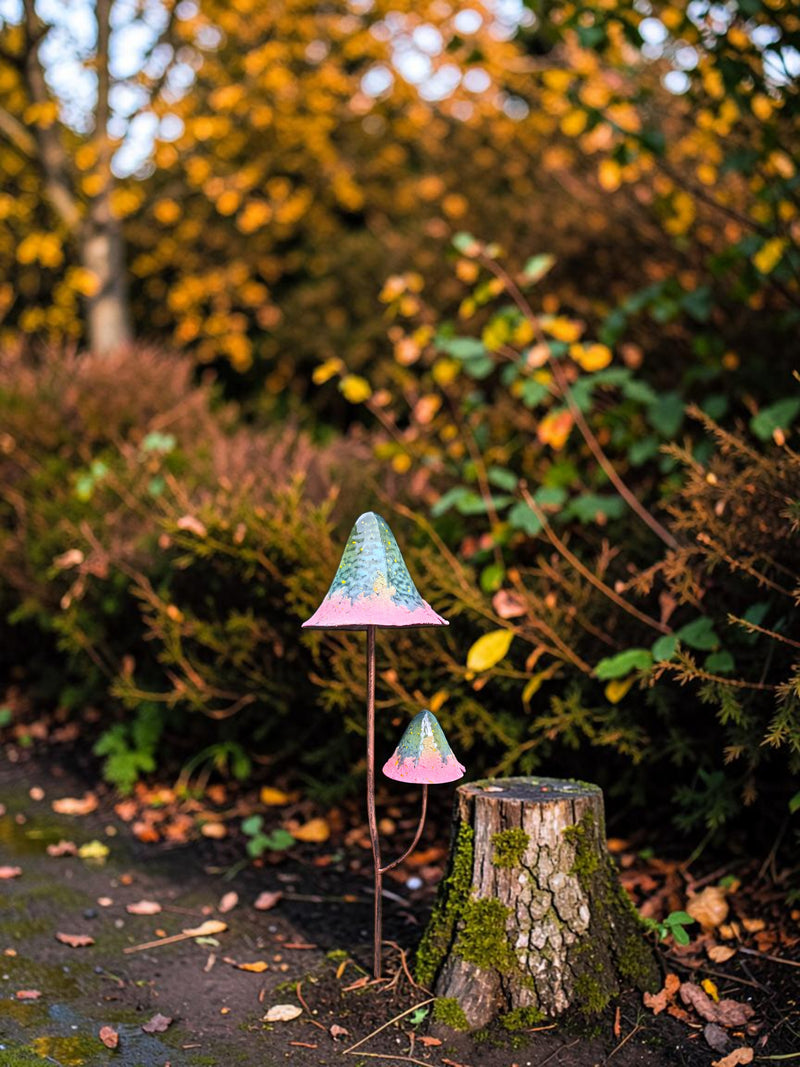 Paddestoel Roze
