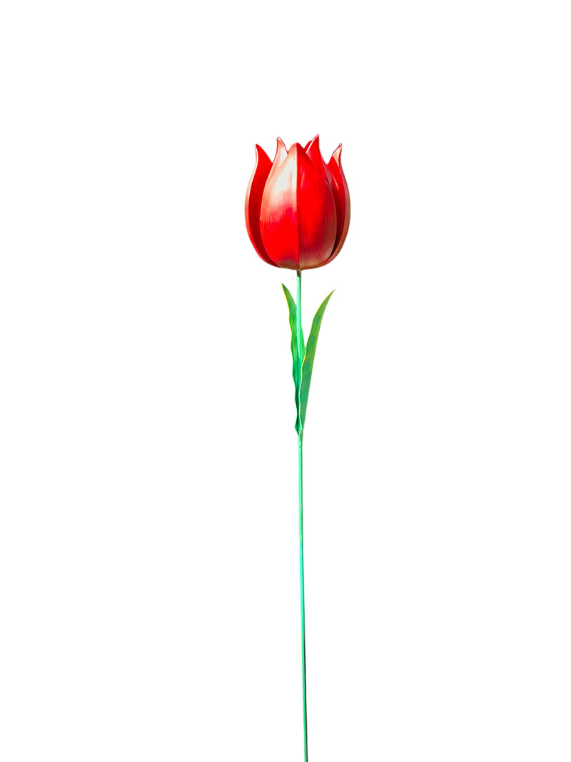 Rode Tulp