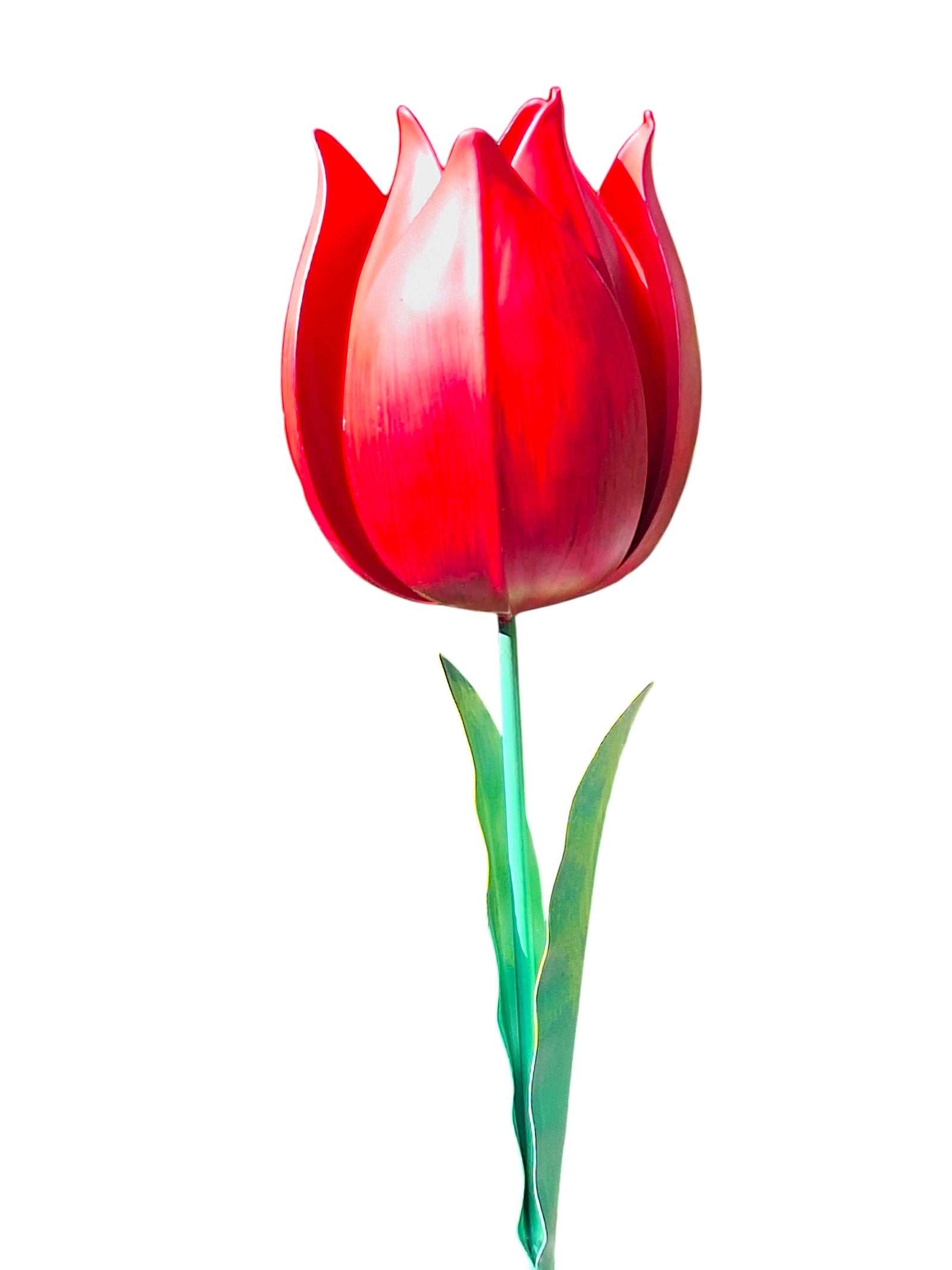 Rode Tulp tuindecoratie – close-up