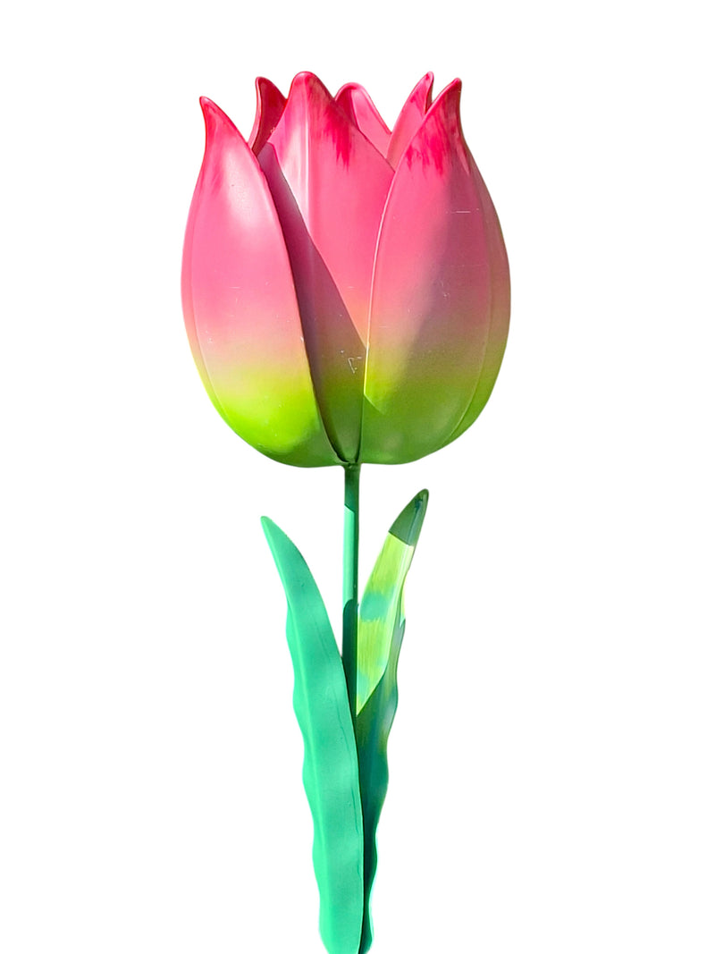 Roze Tulp