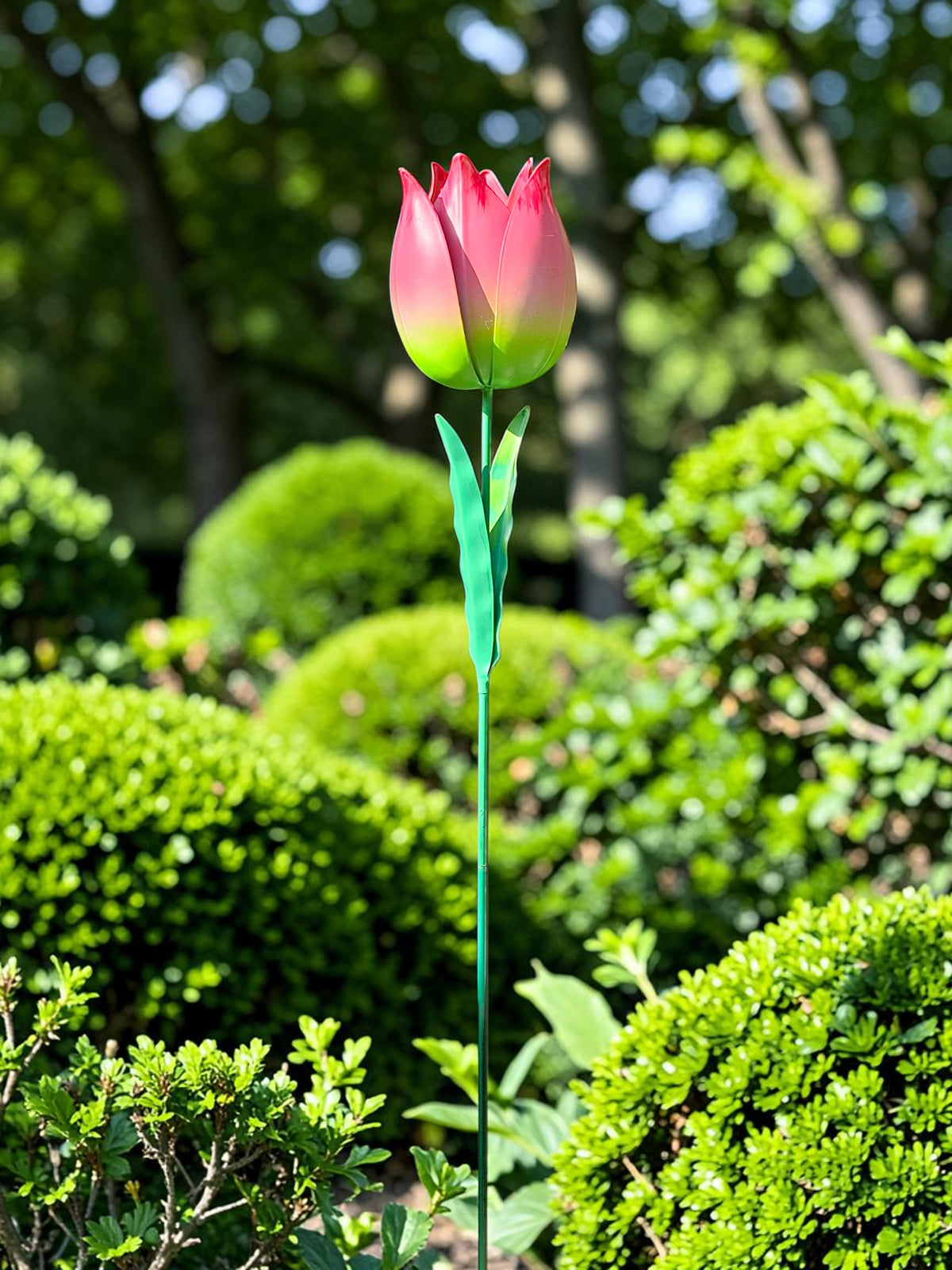 Roze Tulp tuindecoratie – close-up