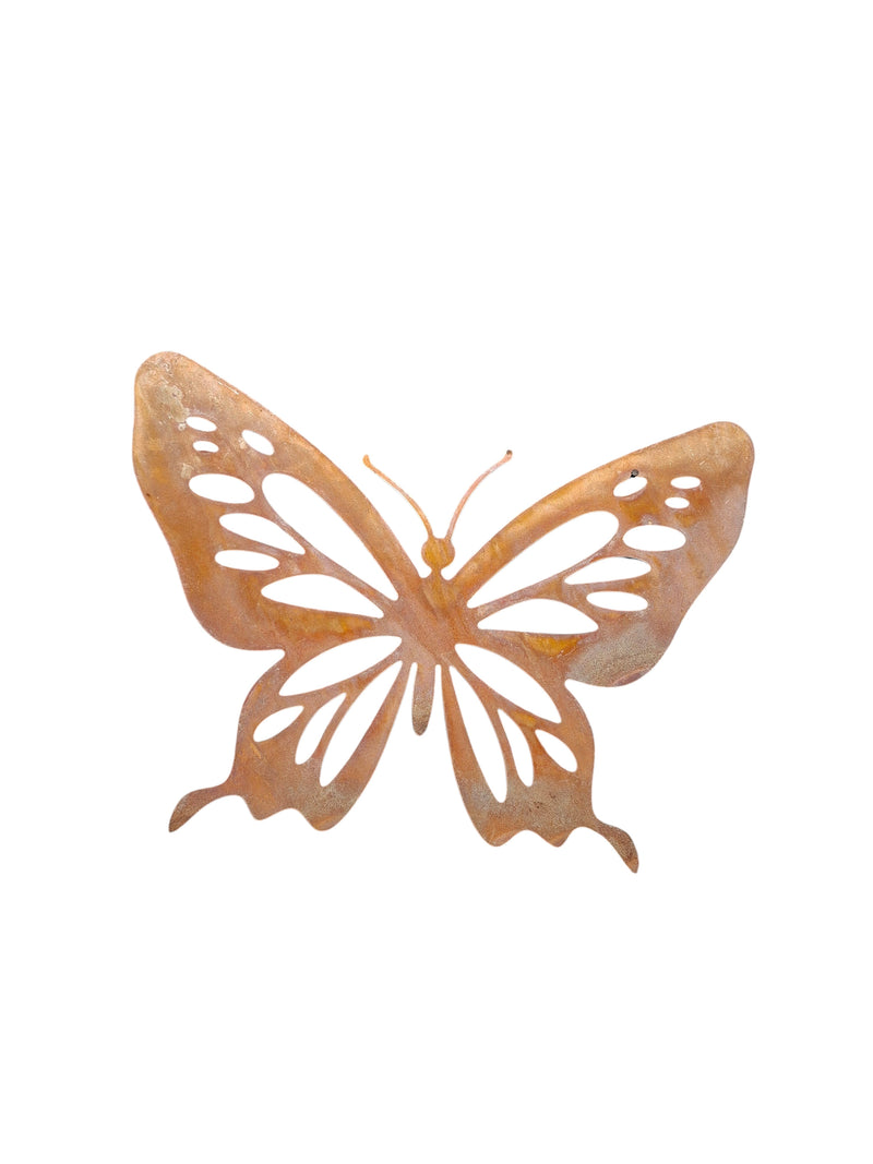 Schmetterling