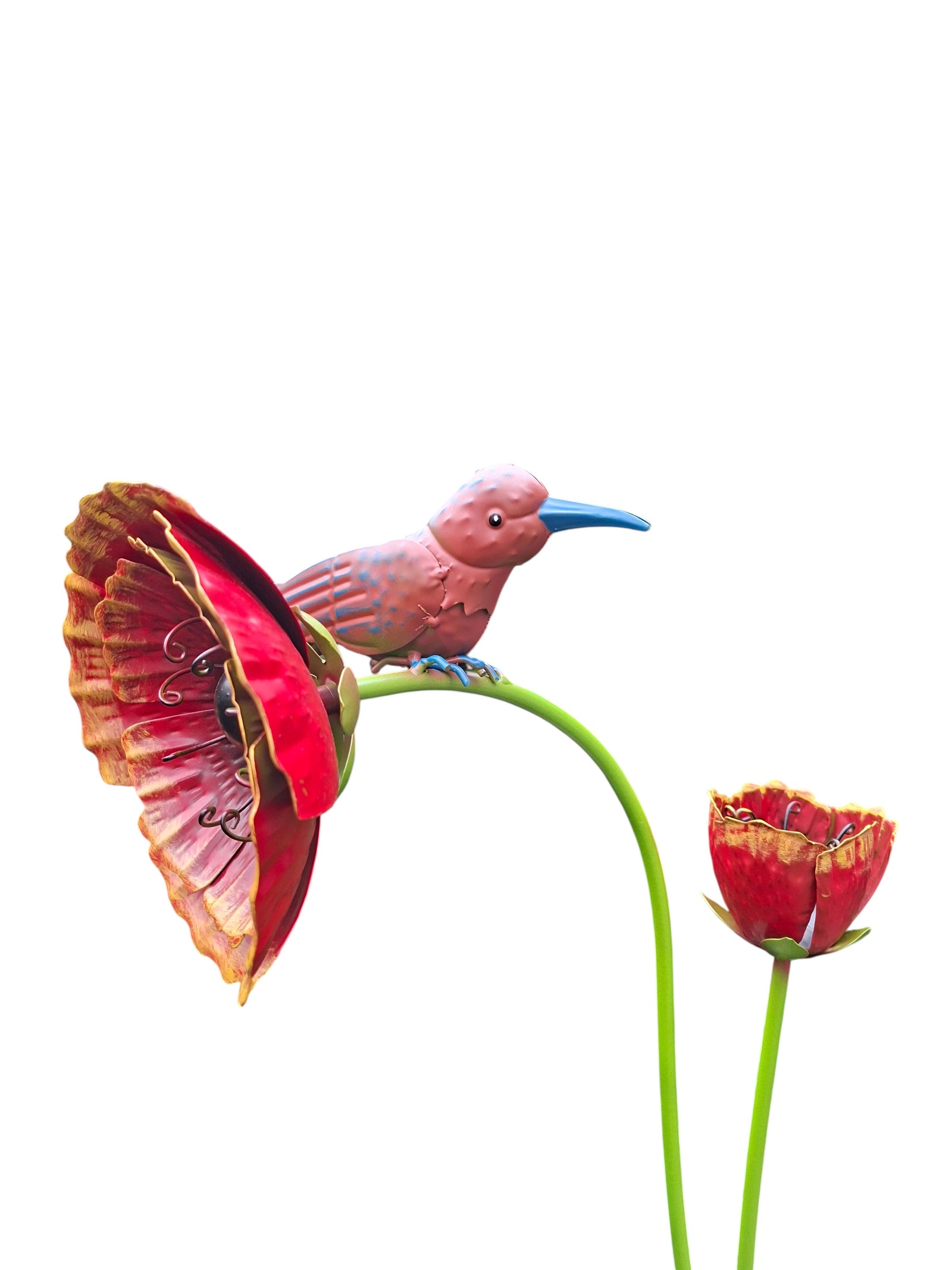 Vogel op klaproos tuindecoratie – close-up