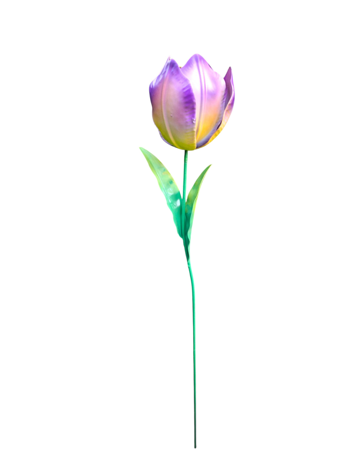 Wilde Tulp Paars-Geel
