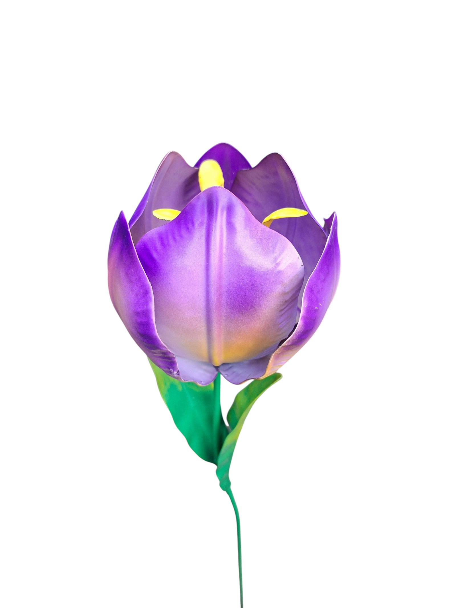 Wilde Tulp Paars-Geel