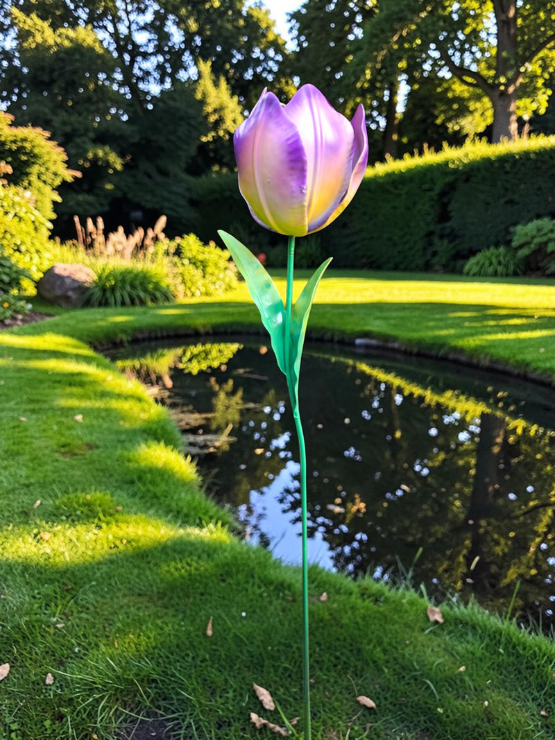 Wilde Tulp Paars-Geel