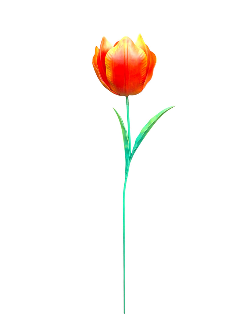 Wilde Tulp Rood-Oranje