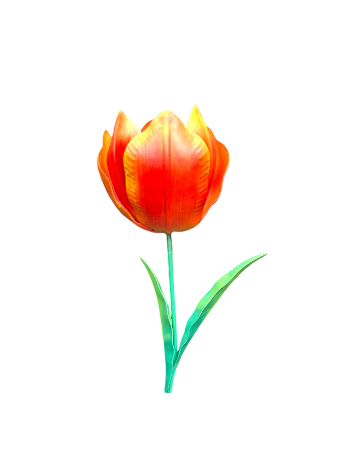 Wilde Tulp Rood-Oranje