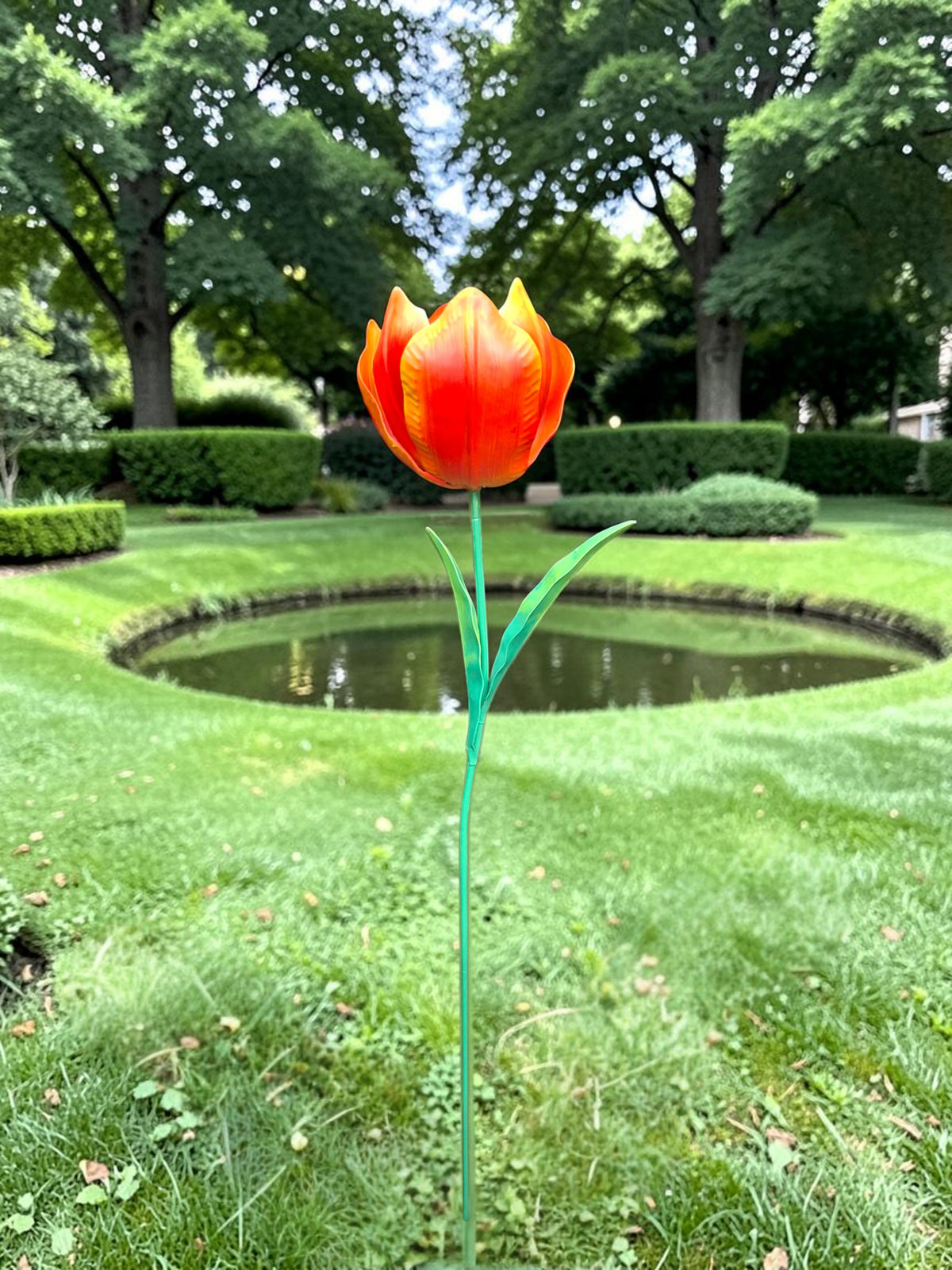 Wilde Tulp Rood-Oranje