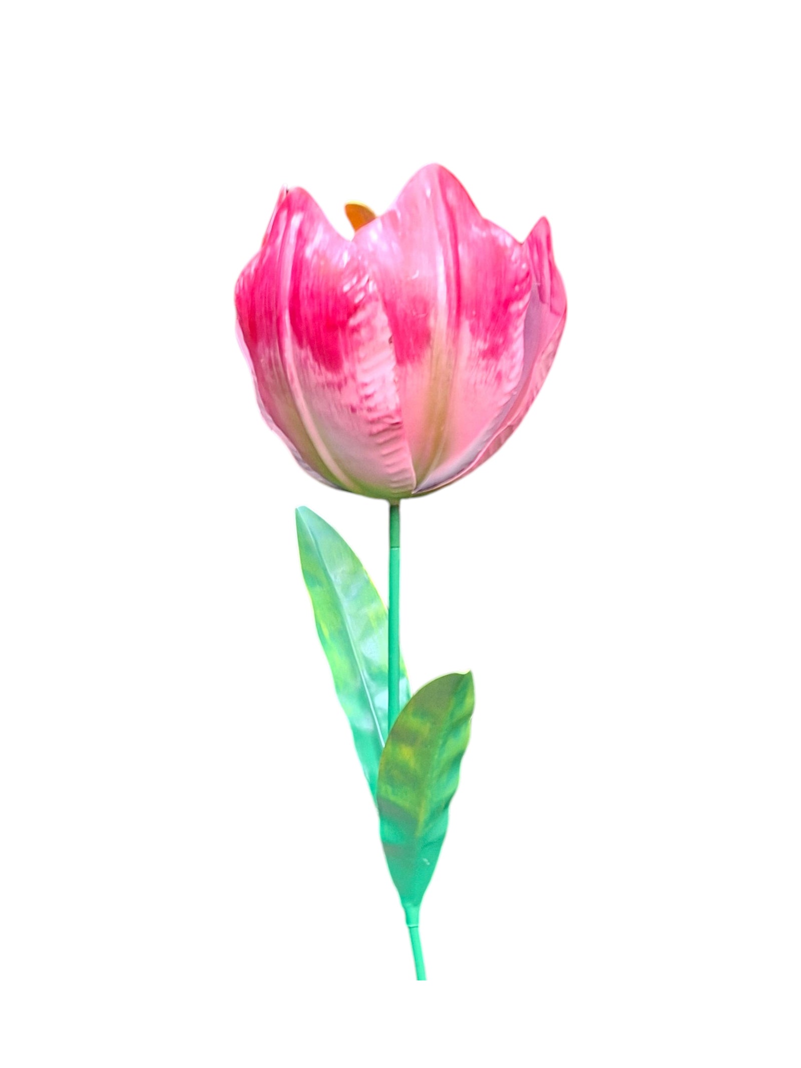 Wilde Tulp Roze tuindecoratie – close-up