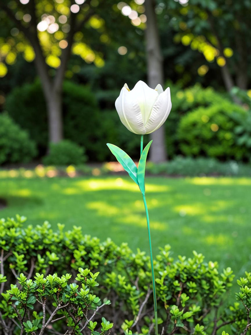 Wilde Tulp Wit tuindecoratie – sfeerbeeld