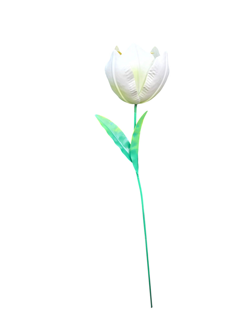 Wilde Tulp Wit