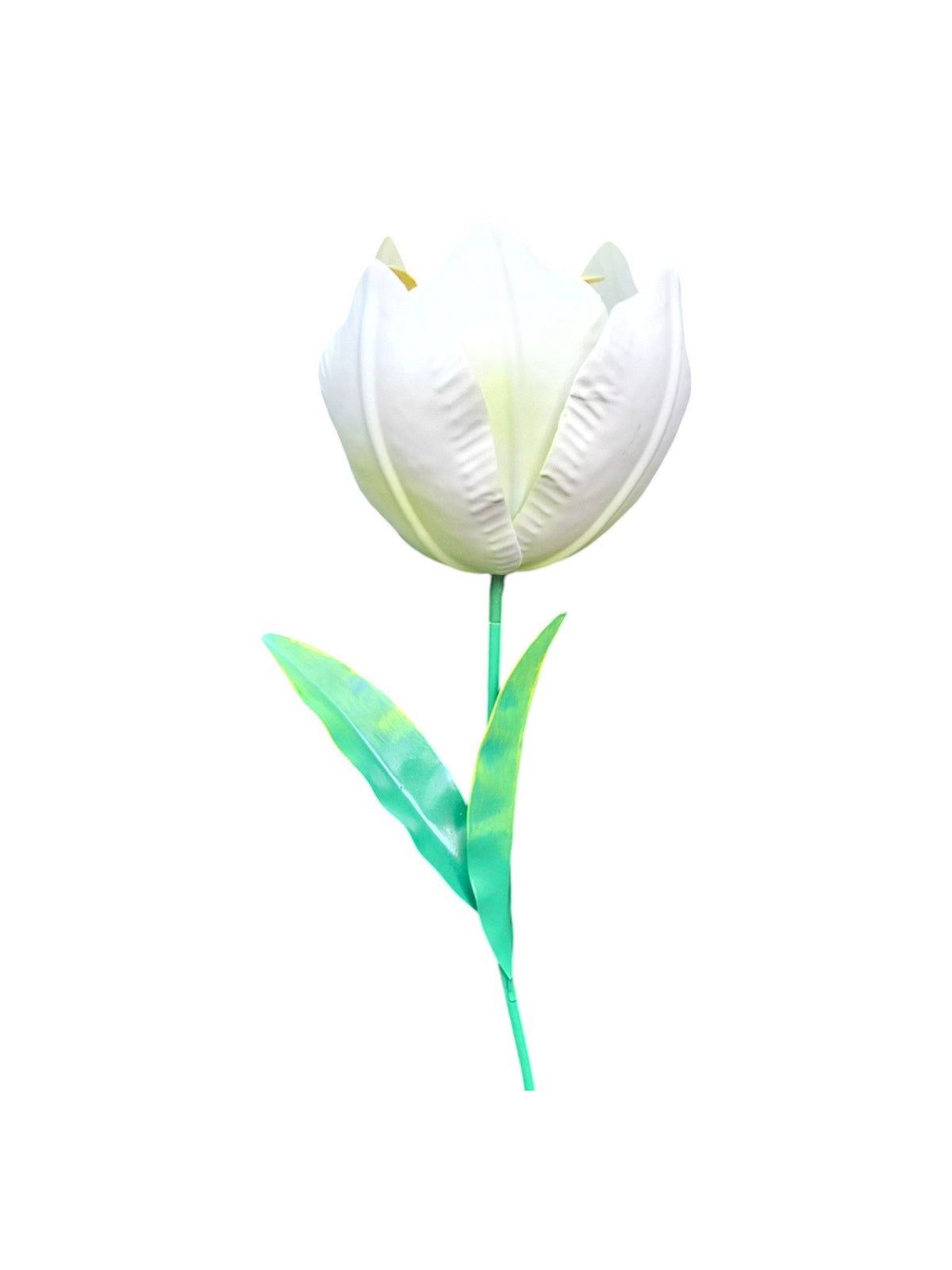 Wilde Tulp Wit tuindecoratie – close-up